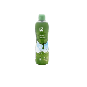 Mint syrup 75cl